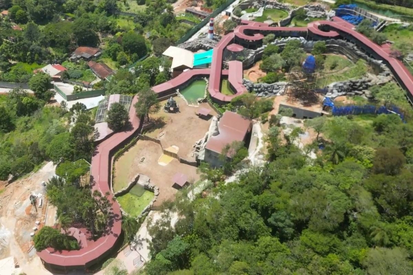  Especial Férias: Animália Park.